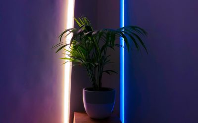 LightDesign1